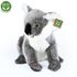 Plyšová koala stojící 25 cm