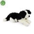 Plyšový pes BORDER KOLIE ležící 45 cm ECO-FRIENDLY