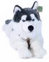 Plyšový husky 60 cm ležící (eco-friendly)