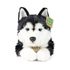 Plyšový pes husky 36 cm ECO-FRIENDLY