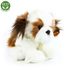 Plyšový pes shih tzu 30 cm sedící