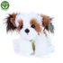 Plyšový pes shih tzu 30 cm sedící
