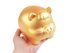 Zlaté prasátko pro štěstí / pokladnička