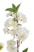 Větvička sakura 48 cm - bílá