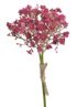 Gypsophila / šater 5 ks – fuchsiová, 29 cm