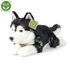 Plyšový pes husky 36 cm ECO-FRIENDLY