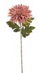 Chryzantéma 72 cm - starorůžová/fialová žíhaná