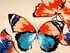 Saténový šátek 58x58 cm motýli