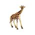 Zvířata safari plast 11-15cm 5ks v sáčku