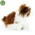 Plyšový pes shih tzu 30 cm sedící