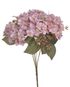 Hortenzie - trs, růžová