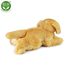 Plyšový retriever 30 cm