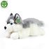 Plyšový pes husky ležící 30 cm