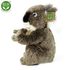Plyšová koala 22 cm