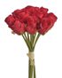 Růže svazek 12 ks - červená