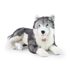 Velký plyšový pes husky ležící 60 cm ECO-FRIENDLY