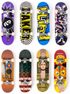 SPIN MASTER Tech Deck Fingerboard prstový skateboard různé druhy