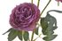 Plnokvětá růže 65 cm - růžovofialová