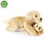 Plyšový labrador s miminkem ležící 25 cm