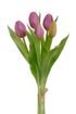 Svazek tulipánů 5 ks - růžová