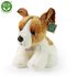 Plyšový pes jack russell teriér sedící 30 cm