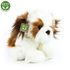 Plyšový pes shih tzu 30 cm sedící