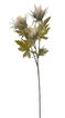 Umělý bodlák s listy - krémová 67 cm
