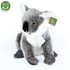 Plyšová koala stojící 25 cm