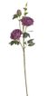 Plnokvětá růže 65 cm - růžovofialová