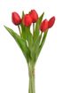 Svazek tulipánů (5 ks) - červená 30 cm