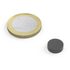 Magnet Ø 10 mm 1 kus