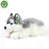 Plyšový pes husky ležící 30 cm