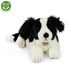 Plyšový pes BORDER KOLIE ležící 45 cm ECO-FRIENDLY