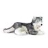 Velký plyšový pes husky ležící 60 cm ECO-FRIENDLY