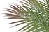 Palmové listy trs 60 cm