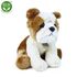 Plyšový pes bulldog 30 cm