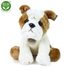 Plyšový pes bulldog 30 cm