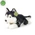 Plyšový pes husky 36 cm ECO-FRIENDLY