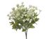 Trs luční květy 5 větviček - bílá