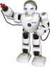 RC robot Fobos CZ (2,4 GHz, baterie, světlo, zvuk, chodící)