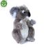 Plyšová koala 22 cm