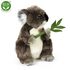 Plyšová koala 30 cm