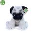 Plyšový pes mops 30 cm