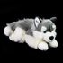 Plyšový pes husky ležící 30 cm