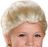 KARNEVAL Paruka Elsa dětská s copánkem Frozen (Ledové Království)