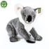 Plyšová koala stojící 25 cm