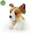 Plyšový pes jack russell teriér sedící 30 cm