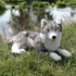 Velký plyšový pes husky ležící 60 cm ECO-FRIENDLY