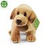 Plyšový labrador stojící 18 cm