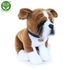 Plyšový pes boxer 27 cm